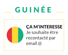 Mineroc - Guinée
